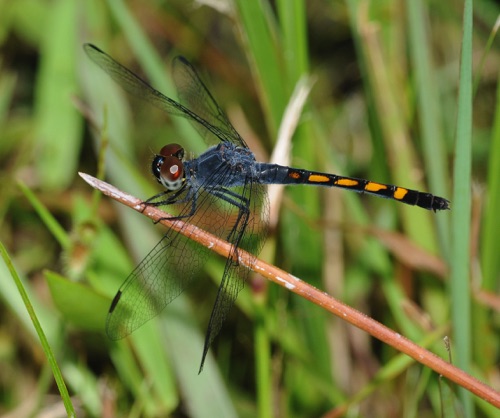 Female
2008_09_17_FL